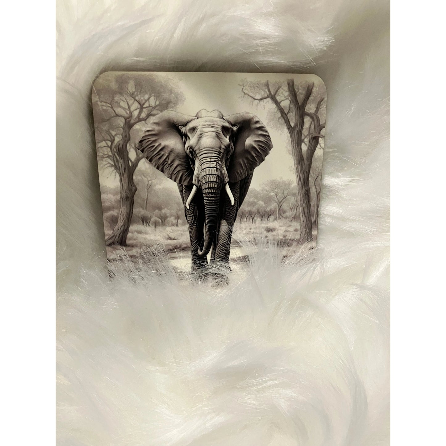 Customizable Coasters