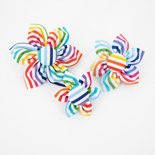 Rainbow Stripes Dog Collar Flower - Birthday, Party, Gotcha Day - Over the Collar Design