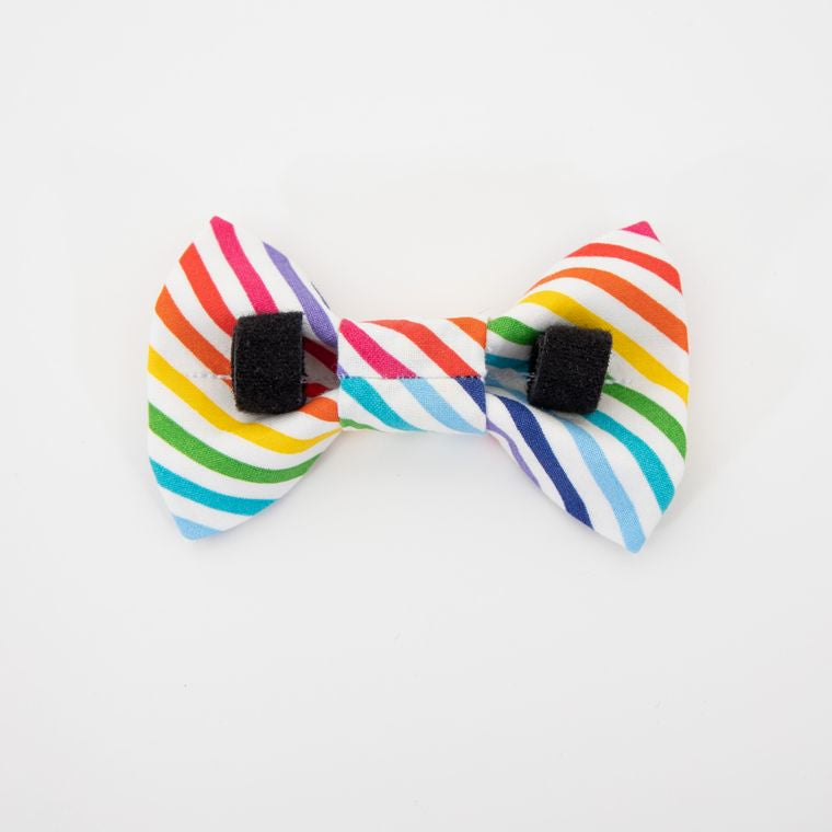 Rainbow Stripes Dog Bow Tie - Birthday, Party, Gotcha Day - Over the Collar Design