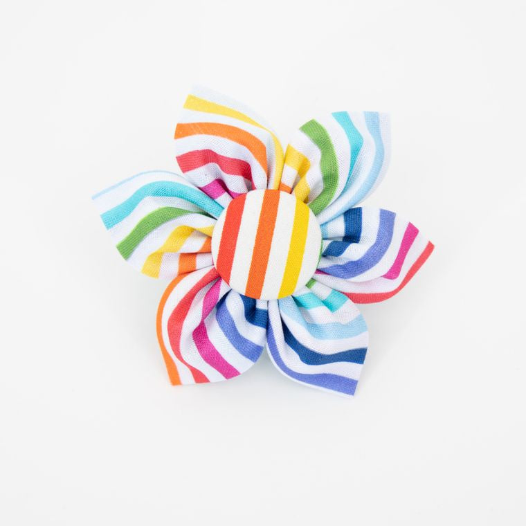 Rainbow Stripes Dog Collar Flower - Birthday, Party, Gotcha Day - Over the Collar Design